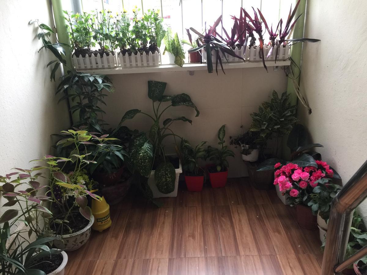 Cozy Homestay Hanoi Exterior foto